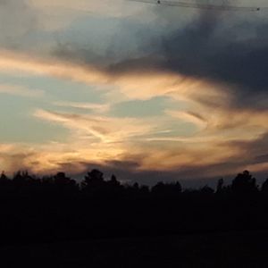 Meet your Posher, Cathy